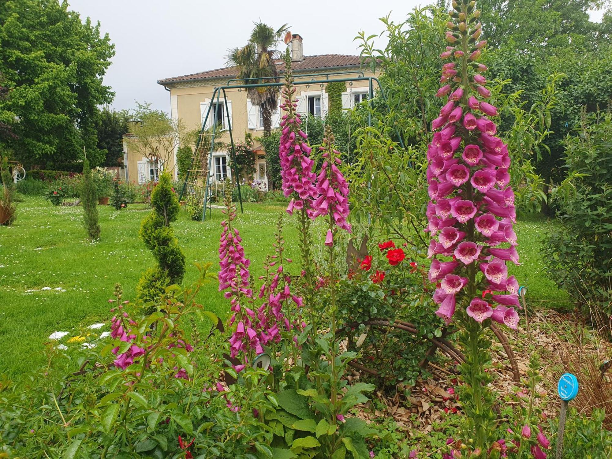 Pause Campagne - Chambres d'Hôtes Pouy-de-Touges Exterior foto